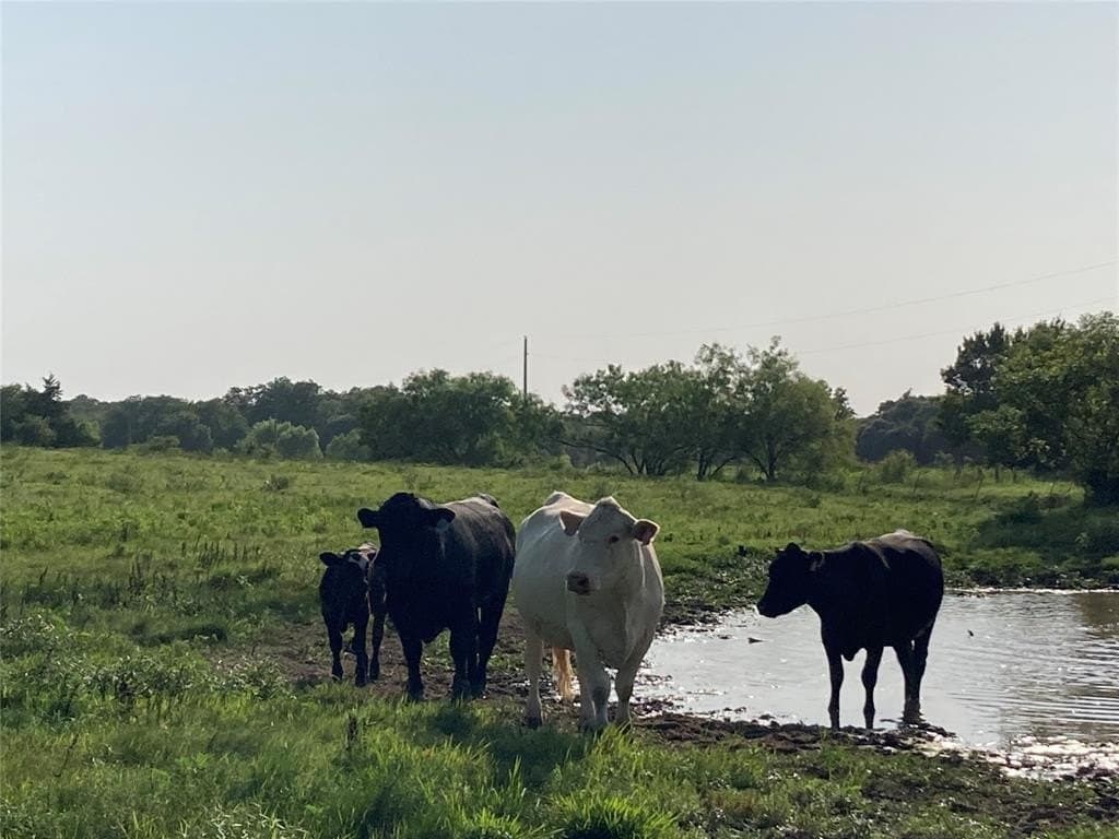 10 acres in Hill County featured view