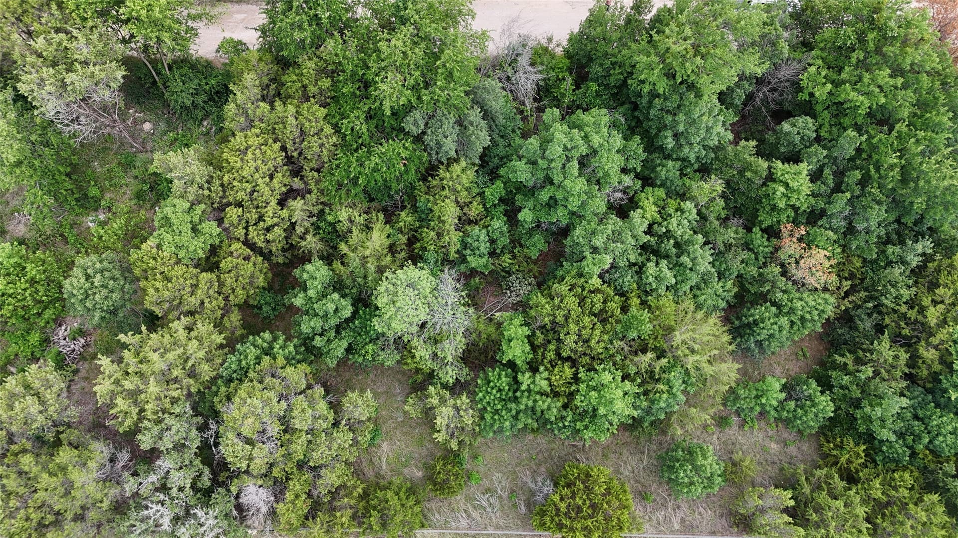 0.07 acres in Hood County gallery image 4
