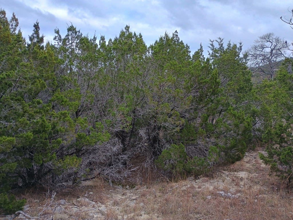 4.36 acres in Burnet County - photo 16