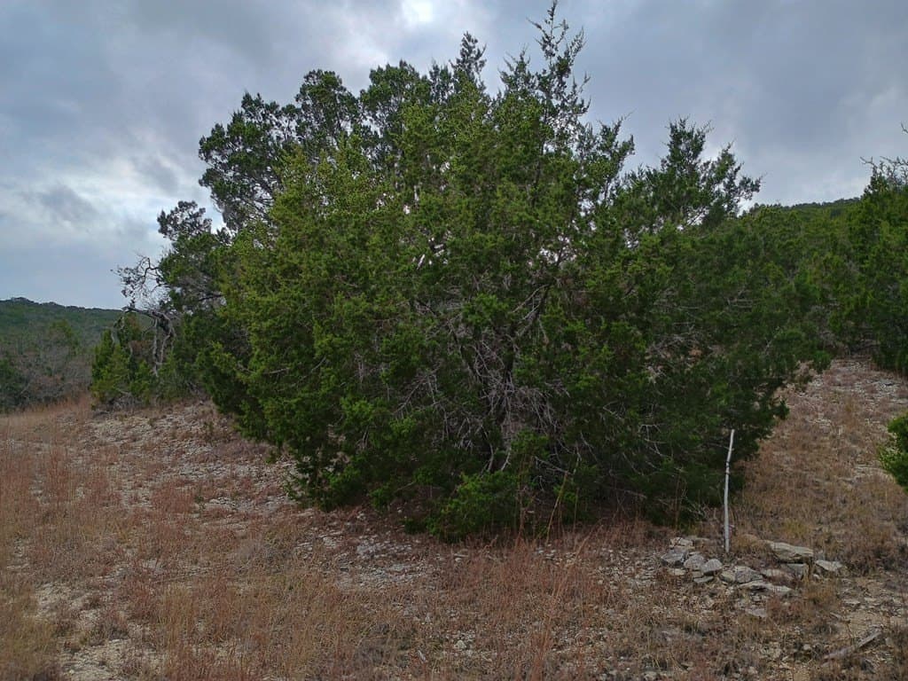 4.36 acres in Burnet County - photo 14