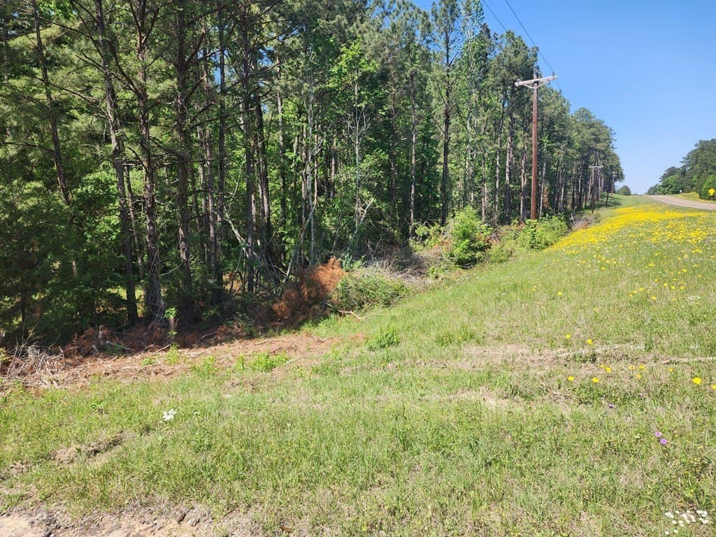 2.83 acres in Texas County - photo 14
