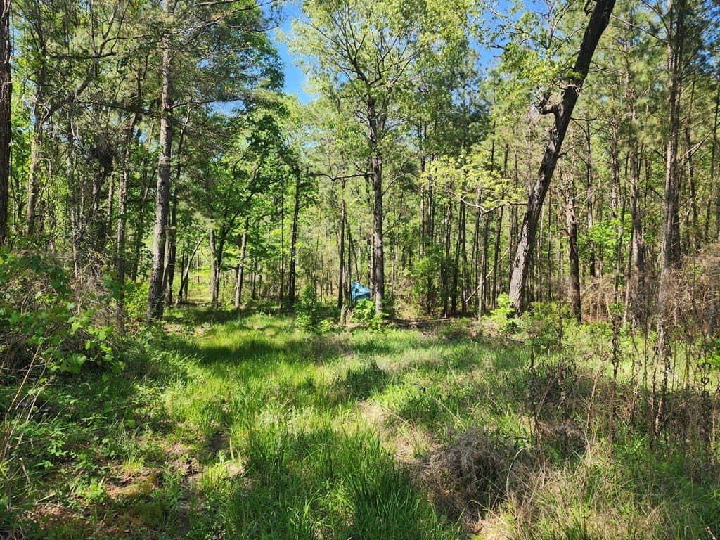 2.83 acres in Texas County - photo 10