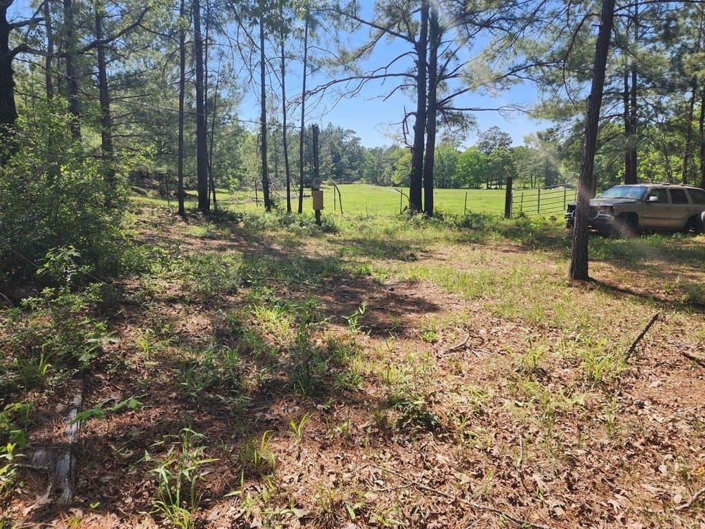 2.83 acres in Texas County featured view