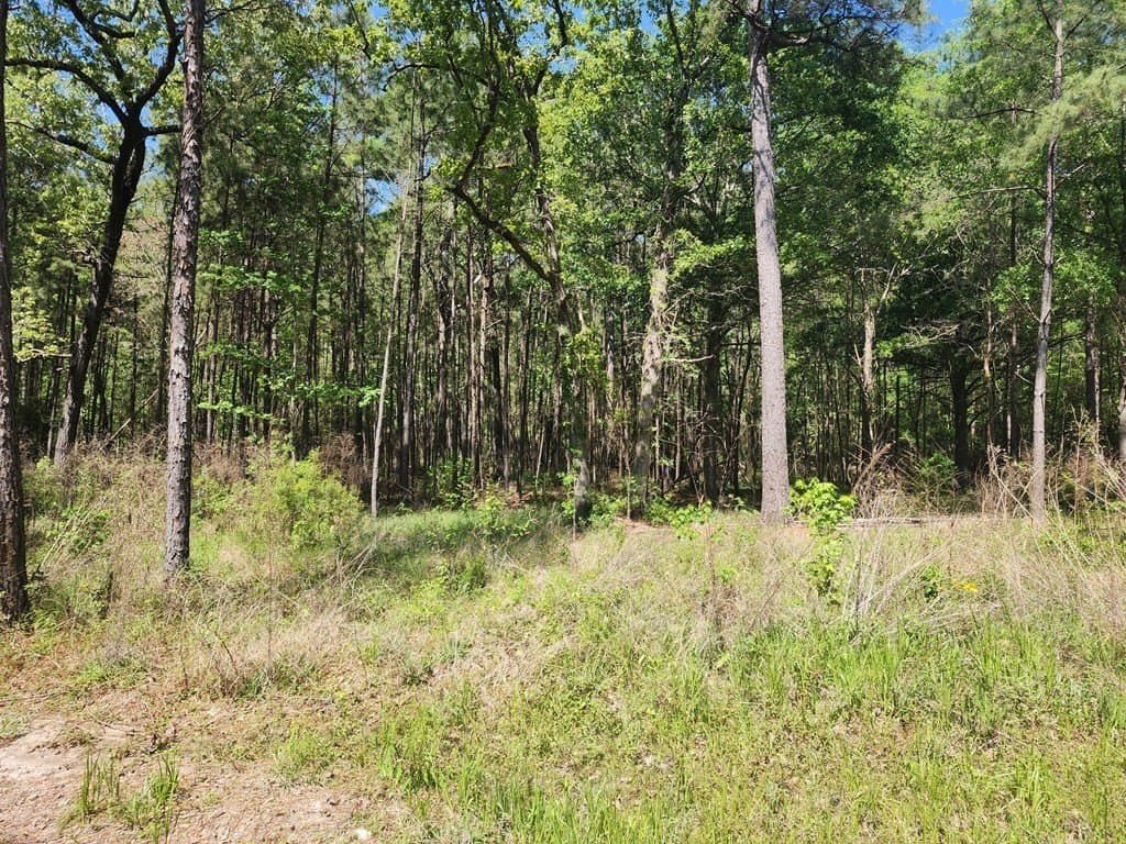2.83 acres in Texas County - photo 6