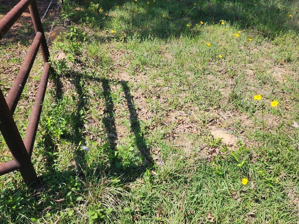 2.83 acres in Texas County - photo 8