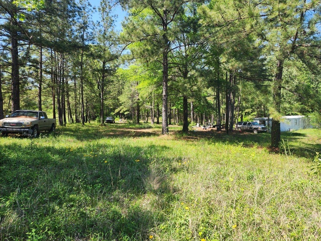2.83 acres in Texas County gallery image 3