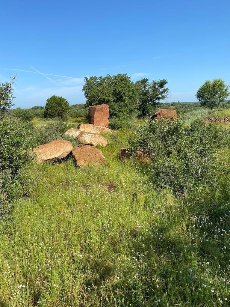 10.1 acres in Mason County gallery image 2