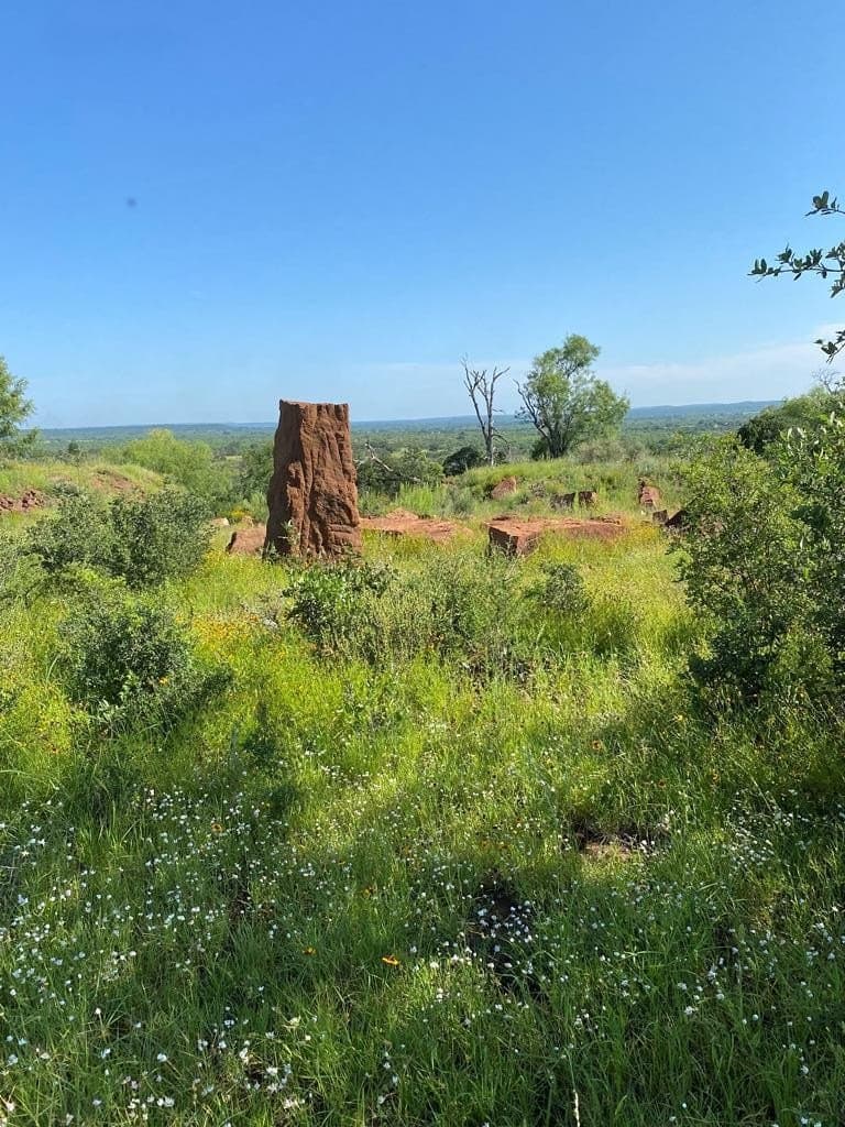 10.1 acres in Mason County gallery image 3