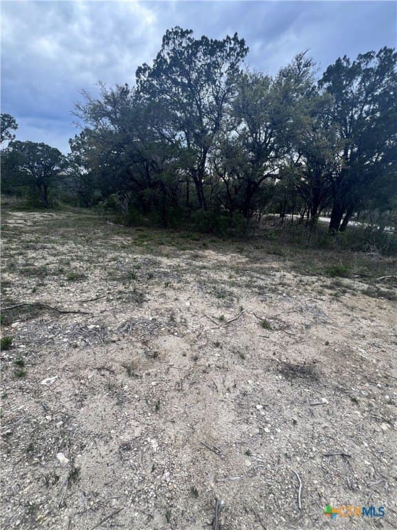 15.41 acres in Travis County gallery image 2