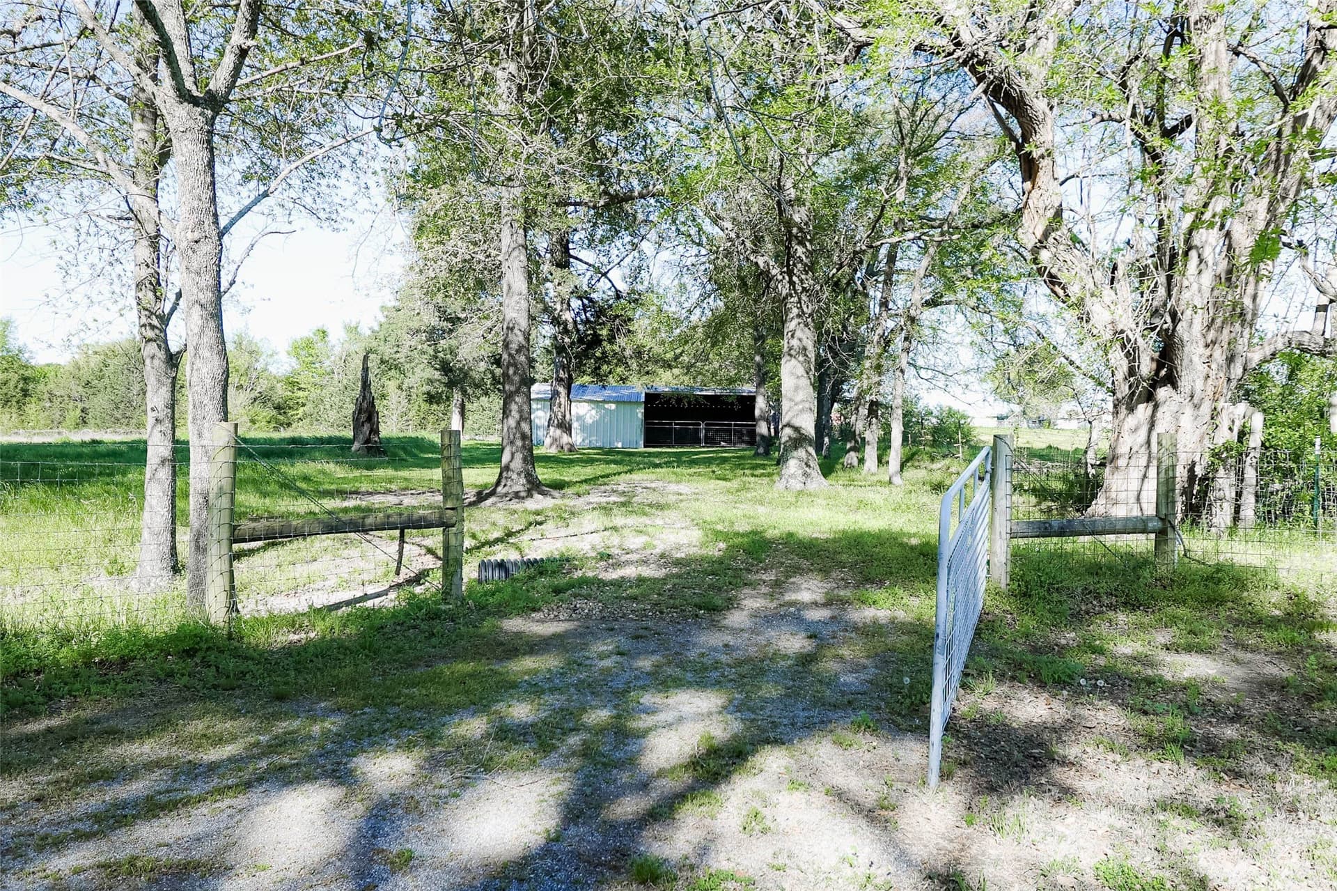 11.91 acres in Fannin County - photo 13