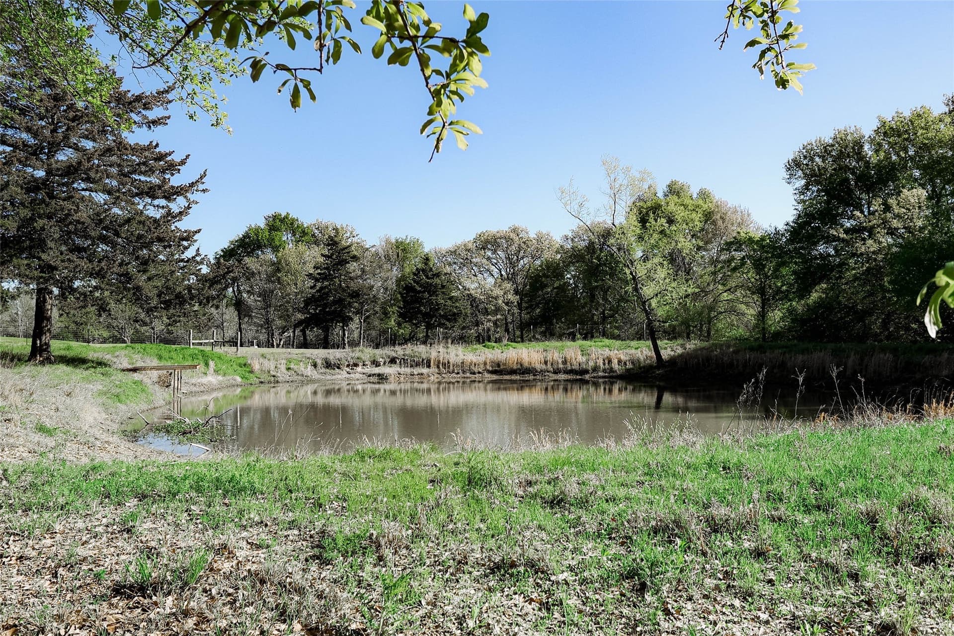 11.91 acres in Fannin County - photo 10