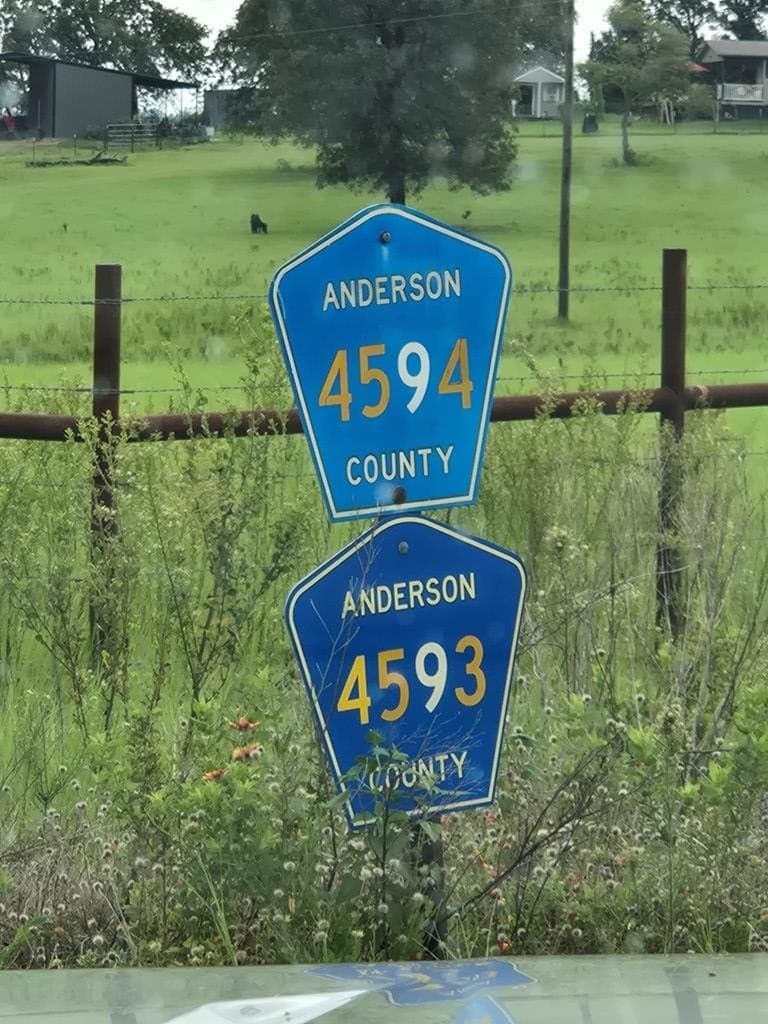 5.03 acres in ANDERSON County gallery image 3