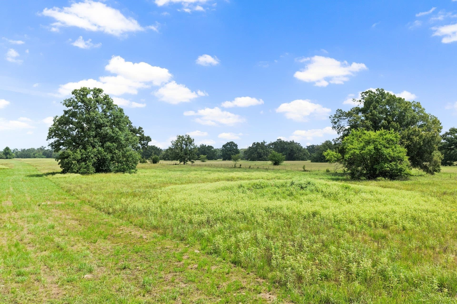 20 acres in Franklin (TX) County - photo 5