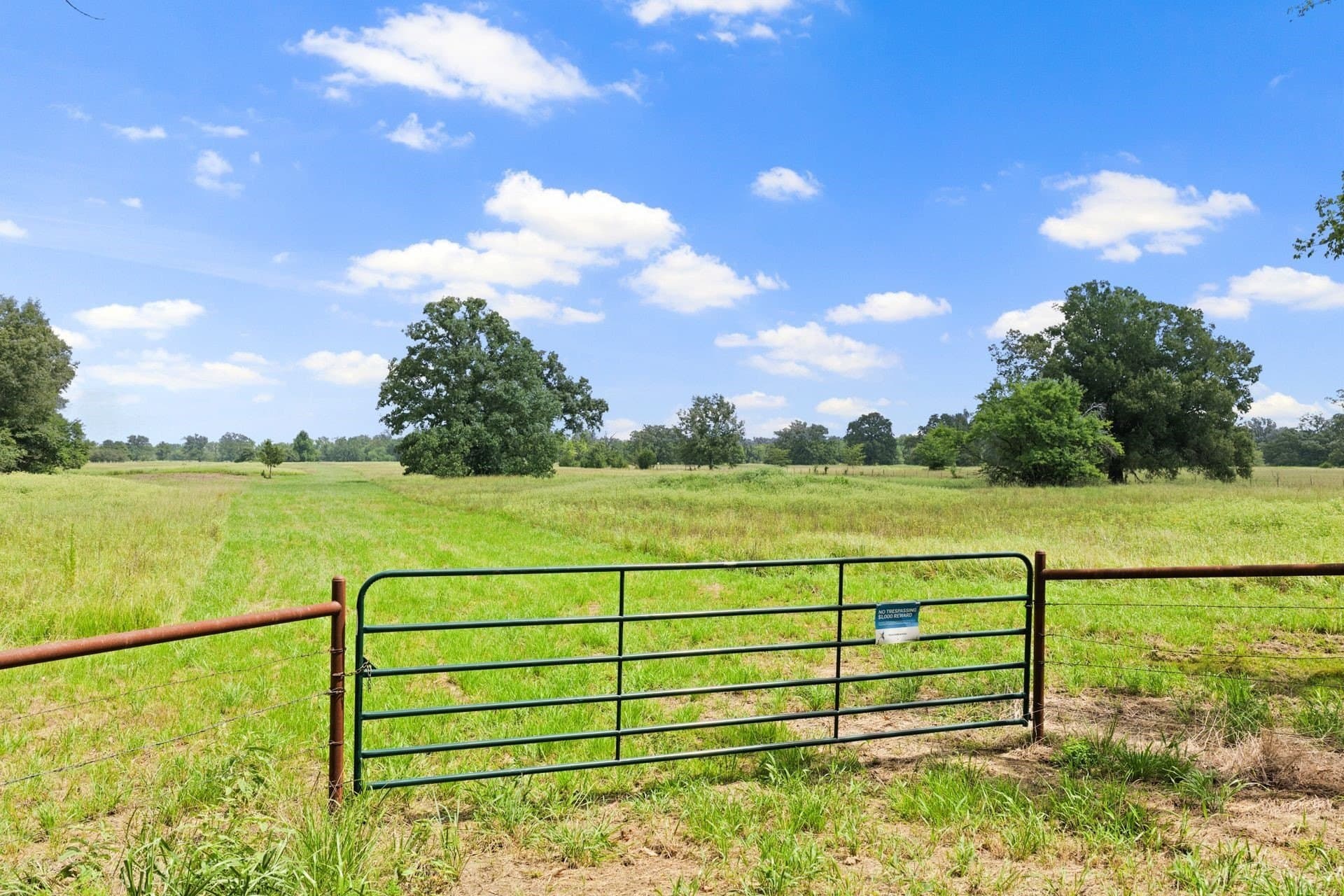 20 acres in Franklin (TX) County - photo 2