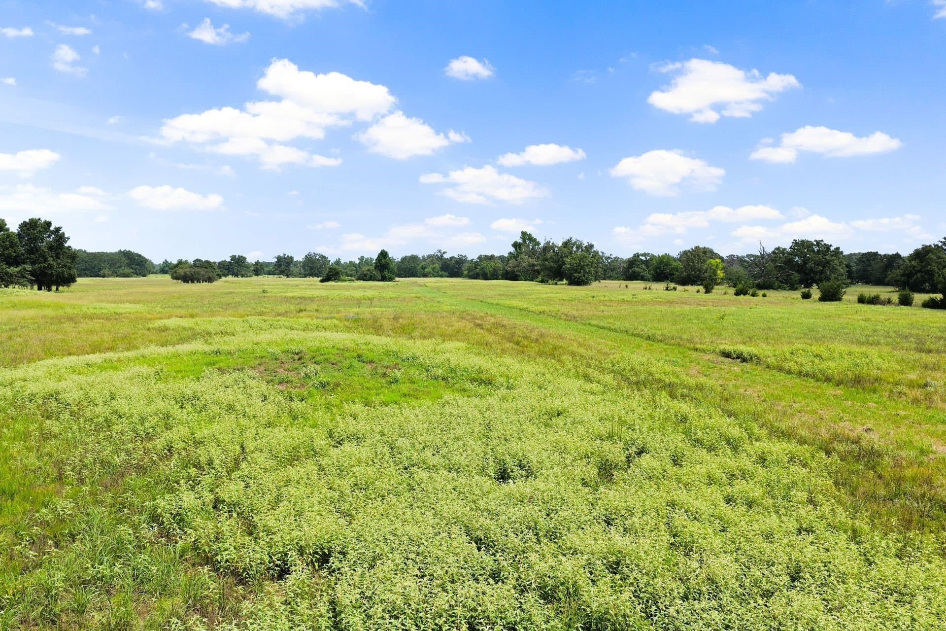 20 acres in Franklin (TX) County - photo 4