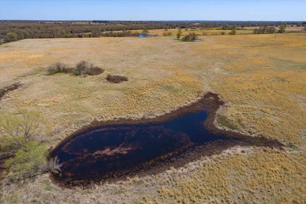 22 acres in Van Zandt County - photo 4
