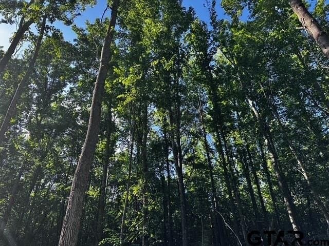 10.01 acres in Van Zandt County gallery image 3