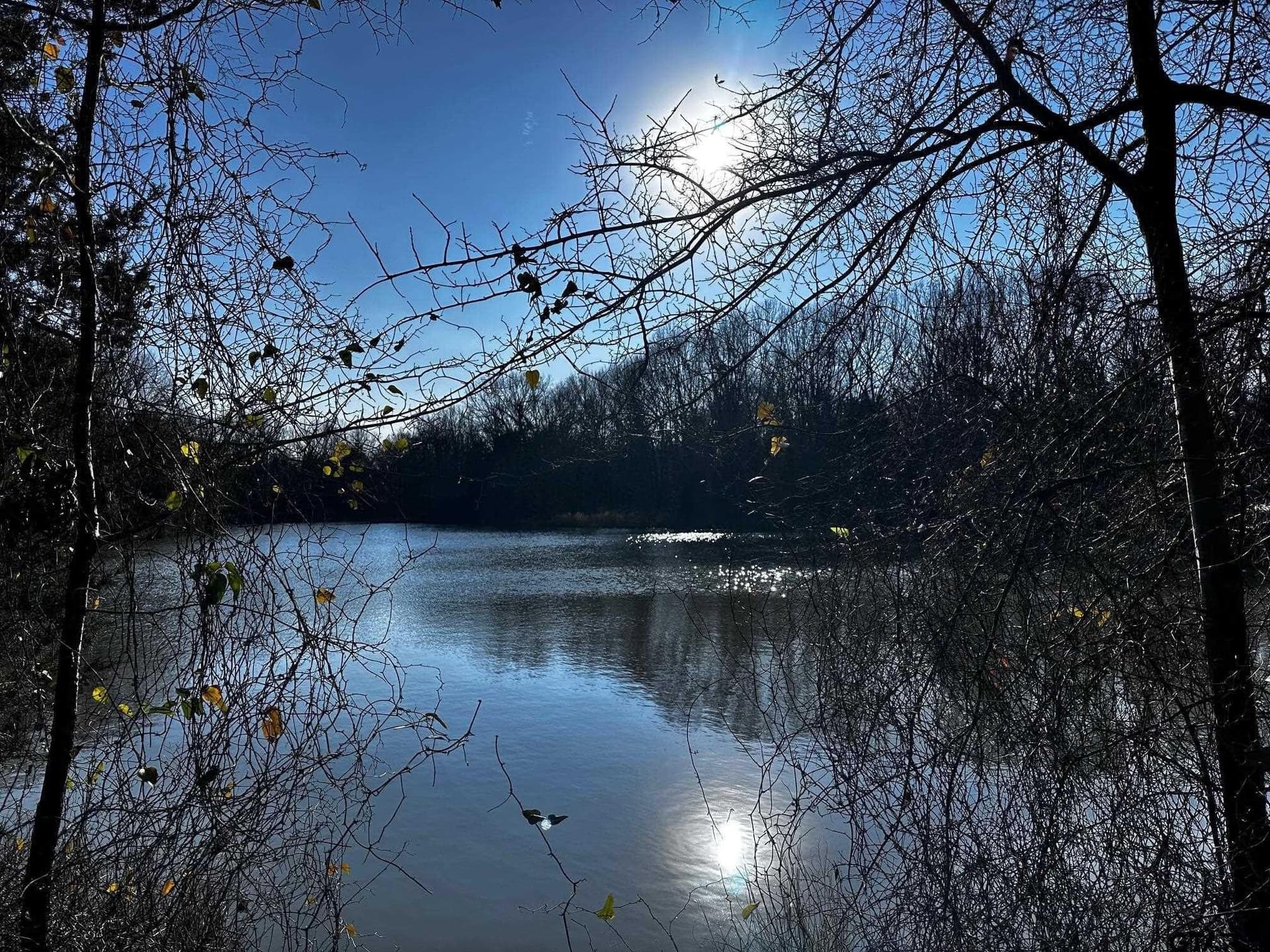 10.01 acres in Van Zandt County gallery image 2