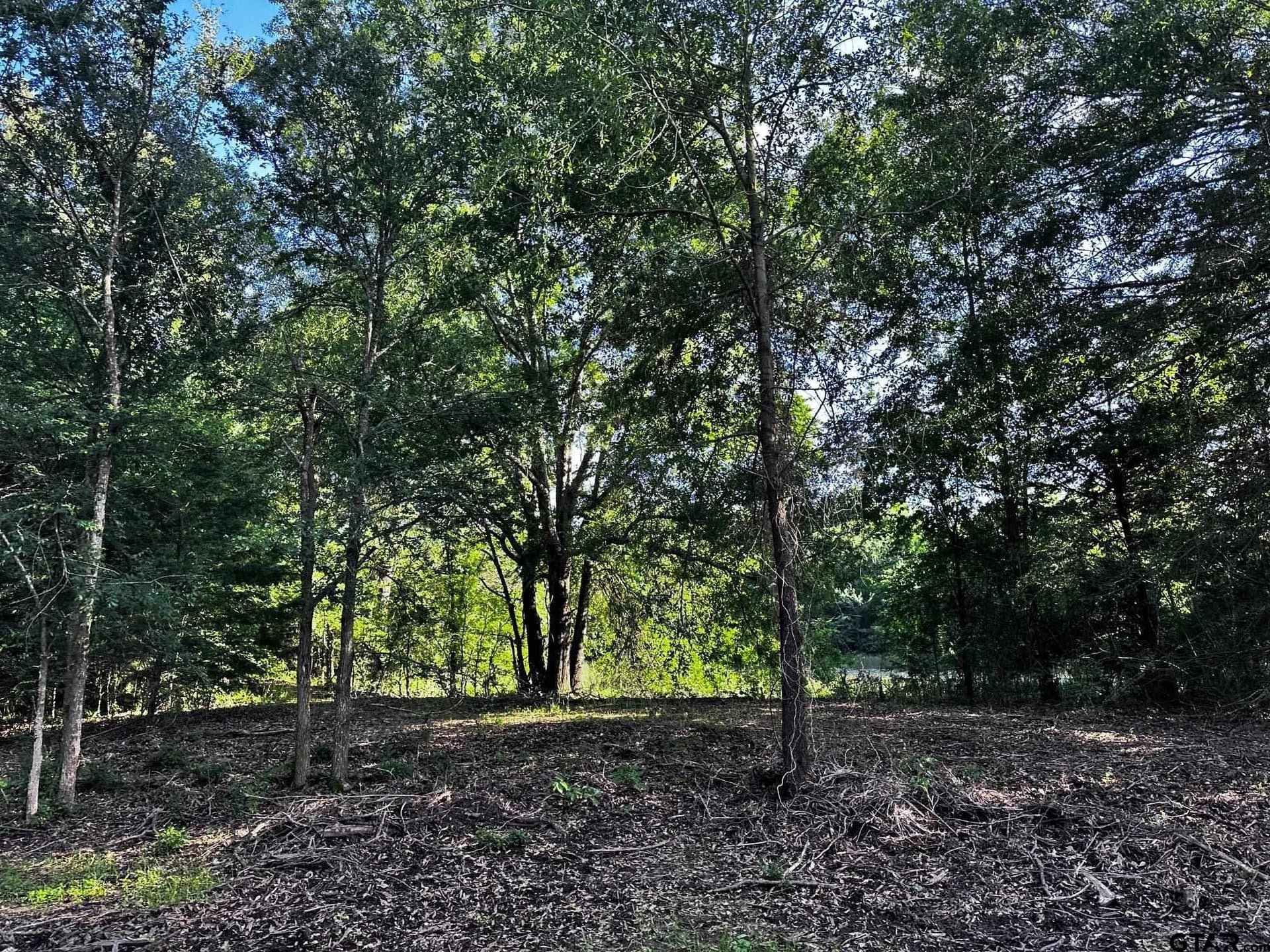 10.01 acres in Van Zandt County gallery image 4