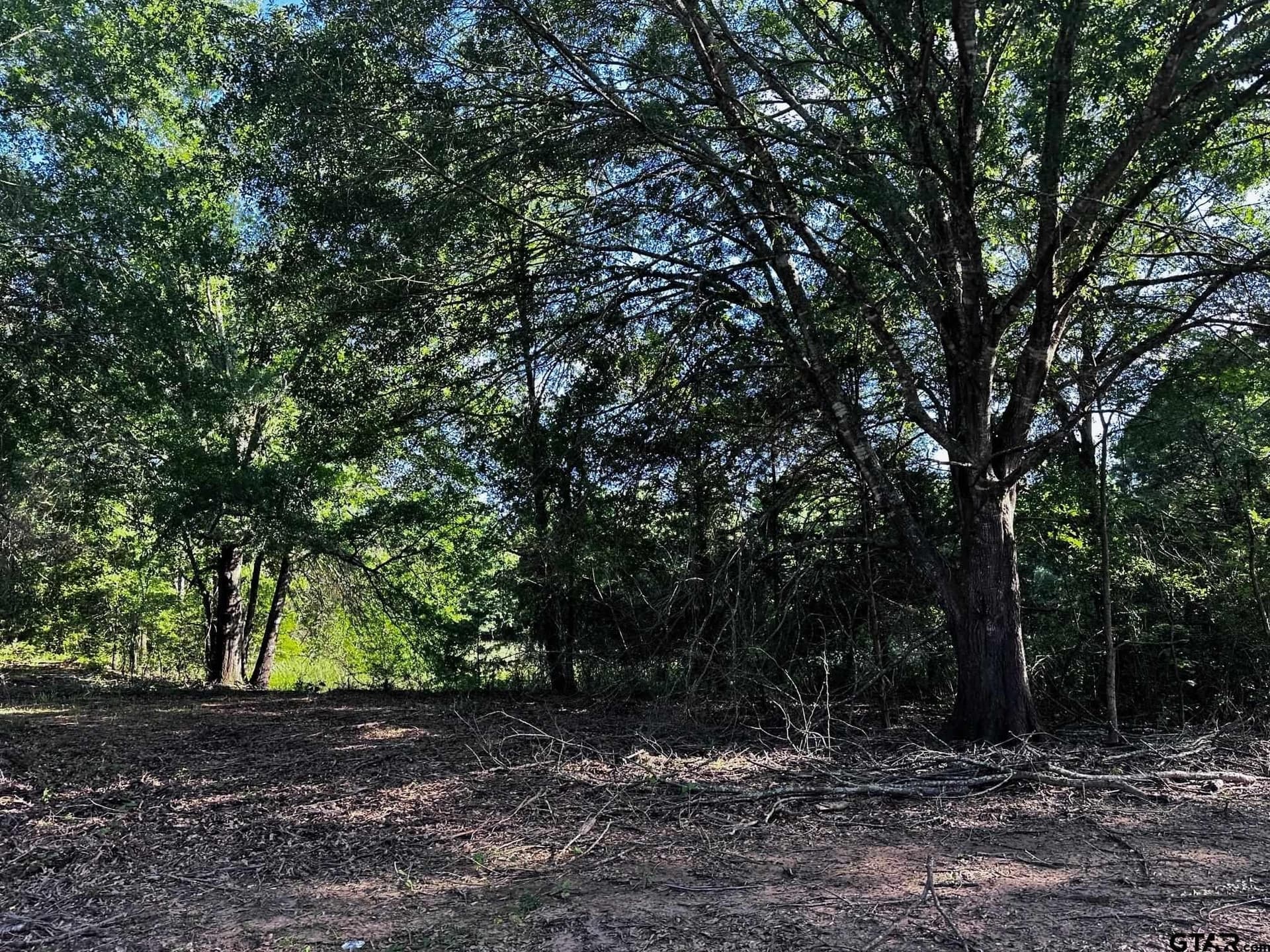 10.01 acres in Van Zandt County featured view