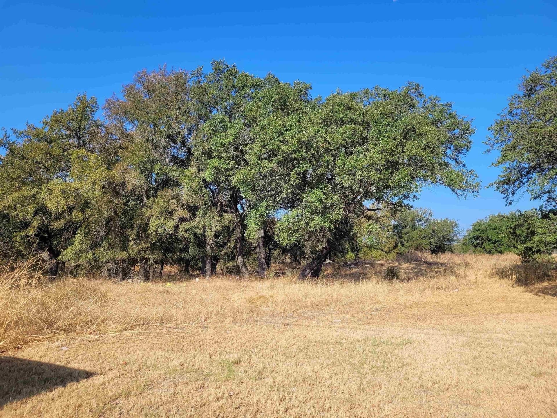 2 acres in Burnet County - photo 2