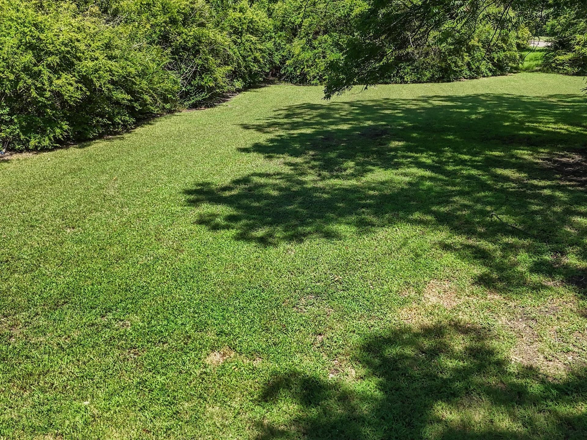 0.28 acres in Dallas County - photo 9