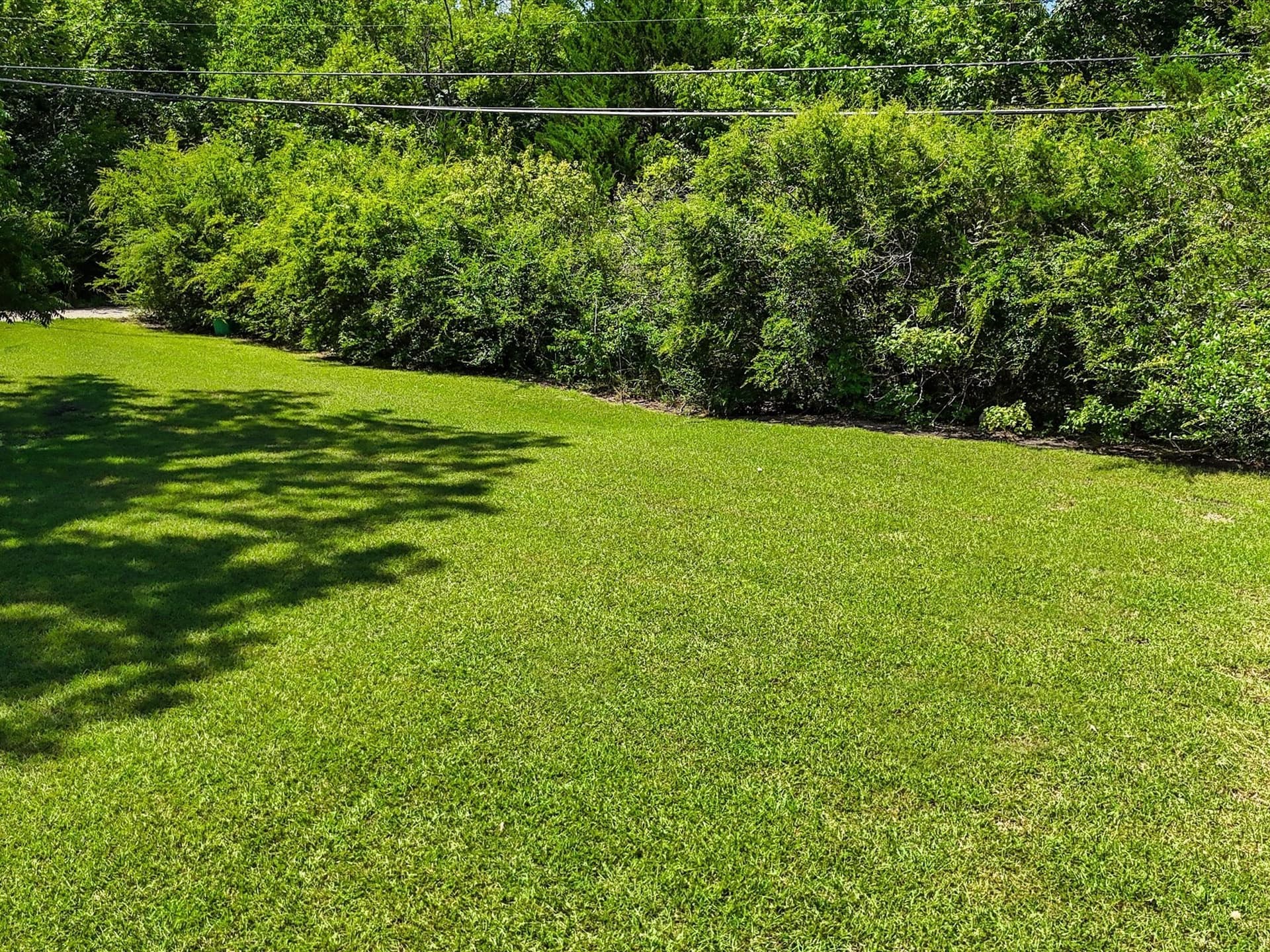 0.28 acres in Dallas County - photo 5