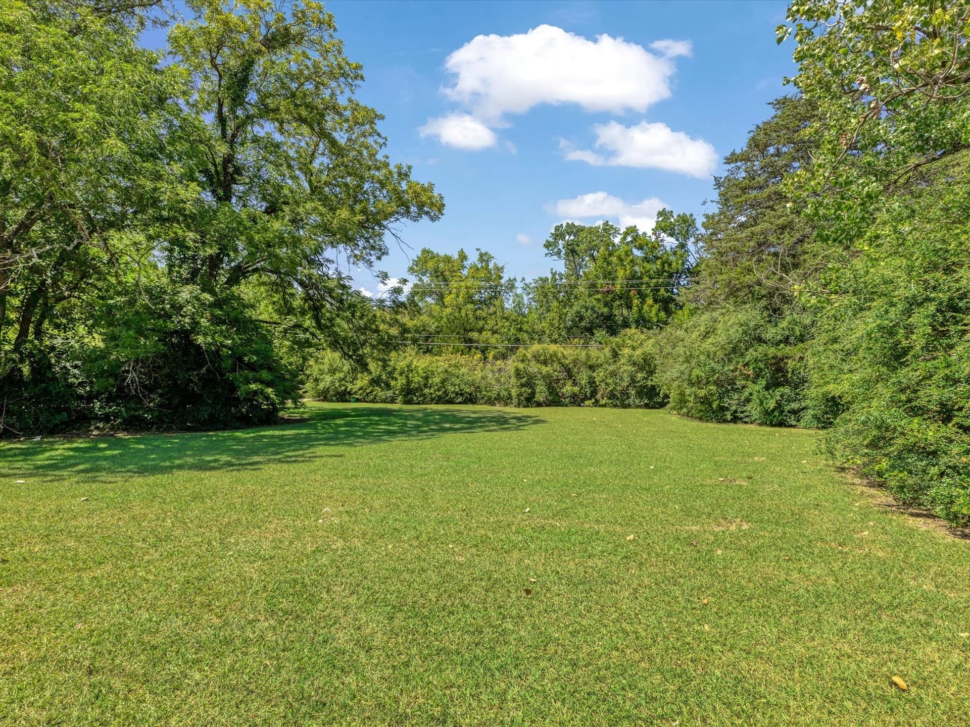 0.28 acres in Dallas County - photo 4