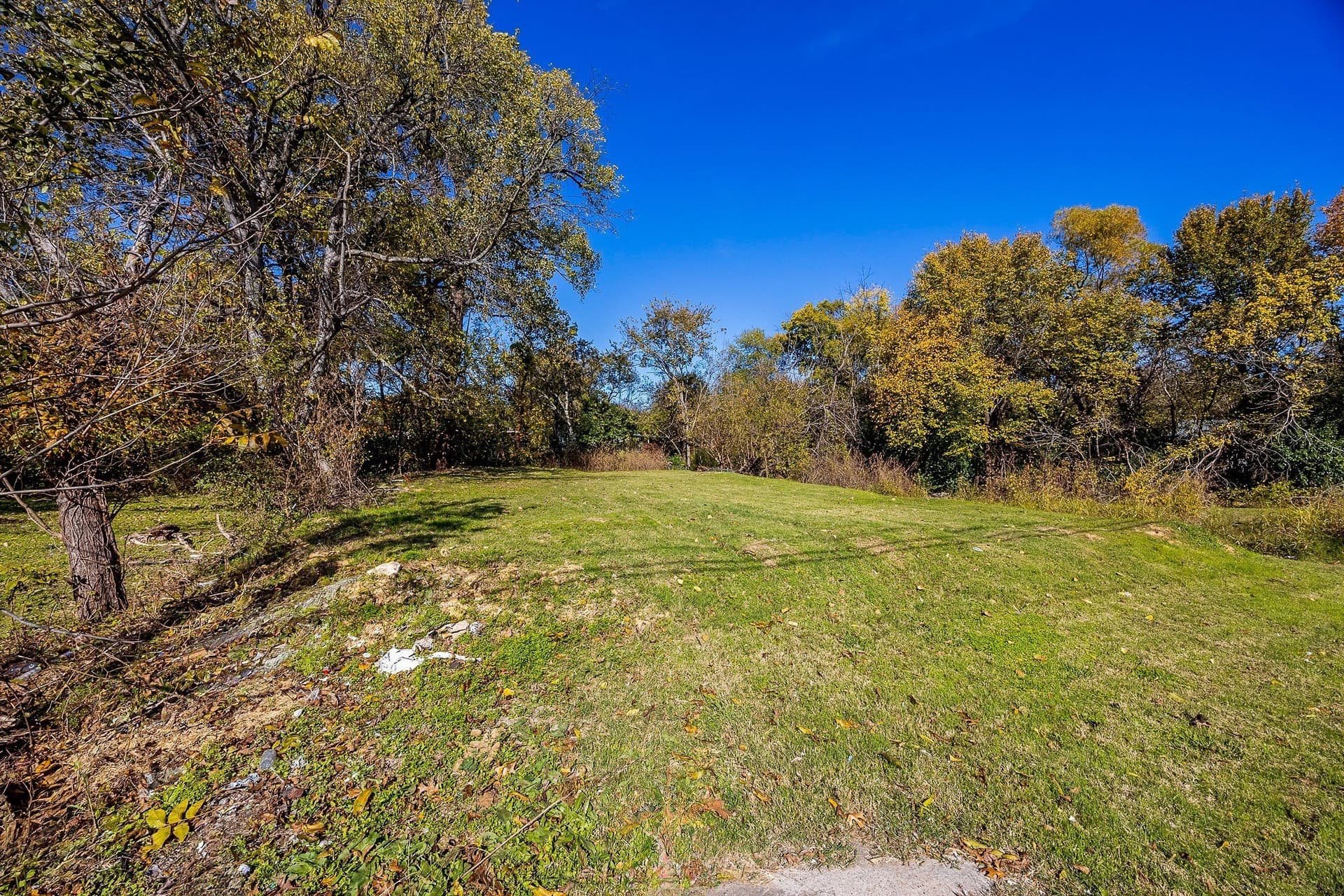 0.2 acres in Dallas County - photo 4