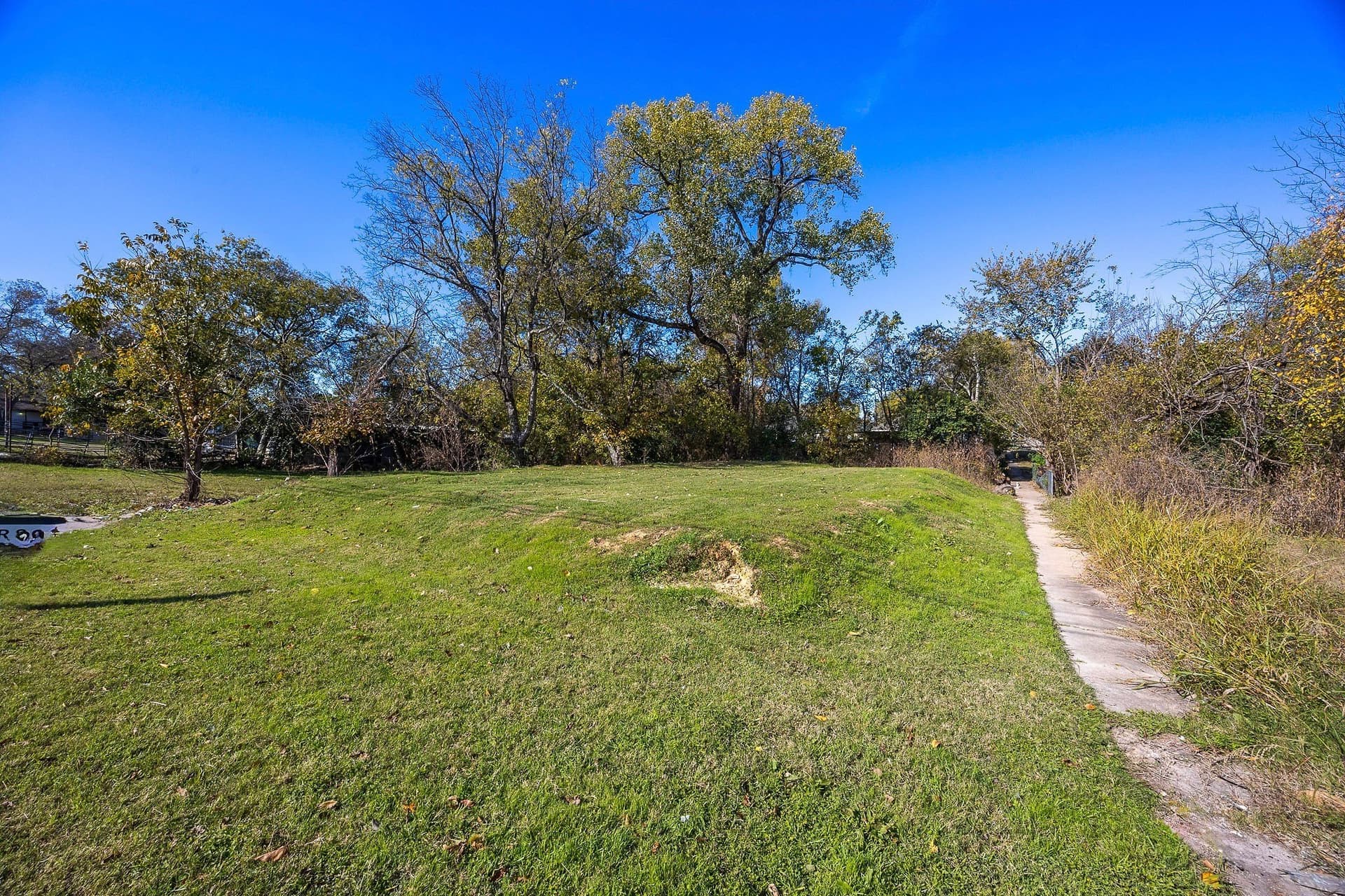 0.2 acres in Dallas County - photo 6