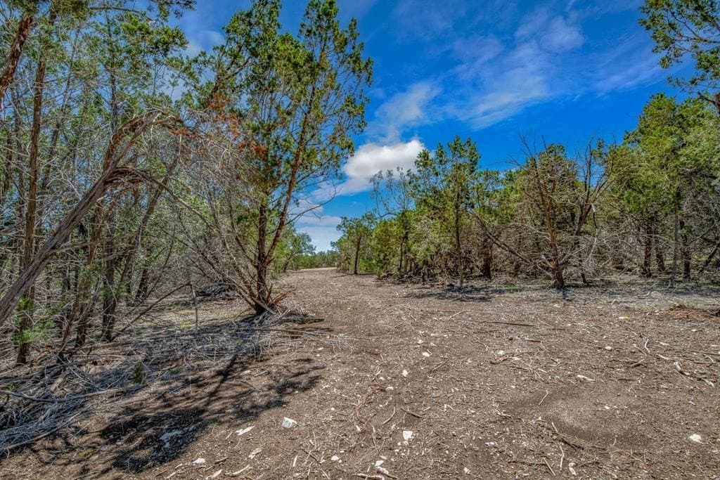 10.41 acres in Gillespie County gallery image 2