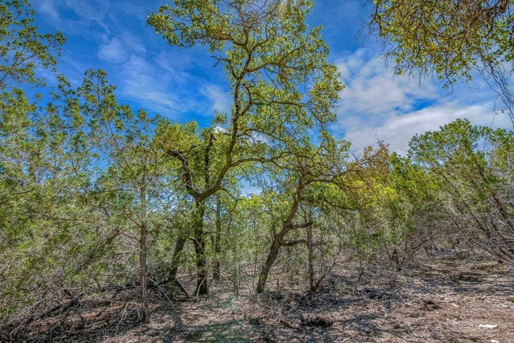 10.41 acres in Gillespie County gallery image 4