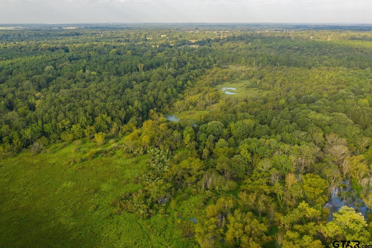 863 acres in Upshur County featured view