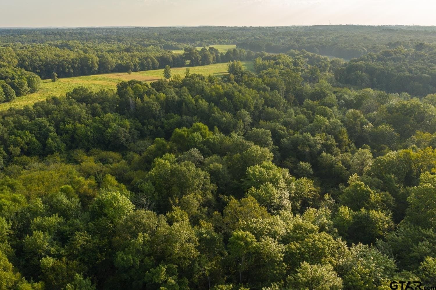 863 acres in Upshur County gallery image 4