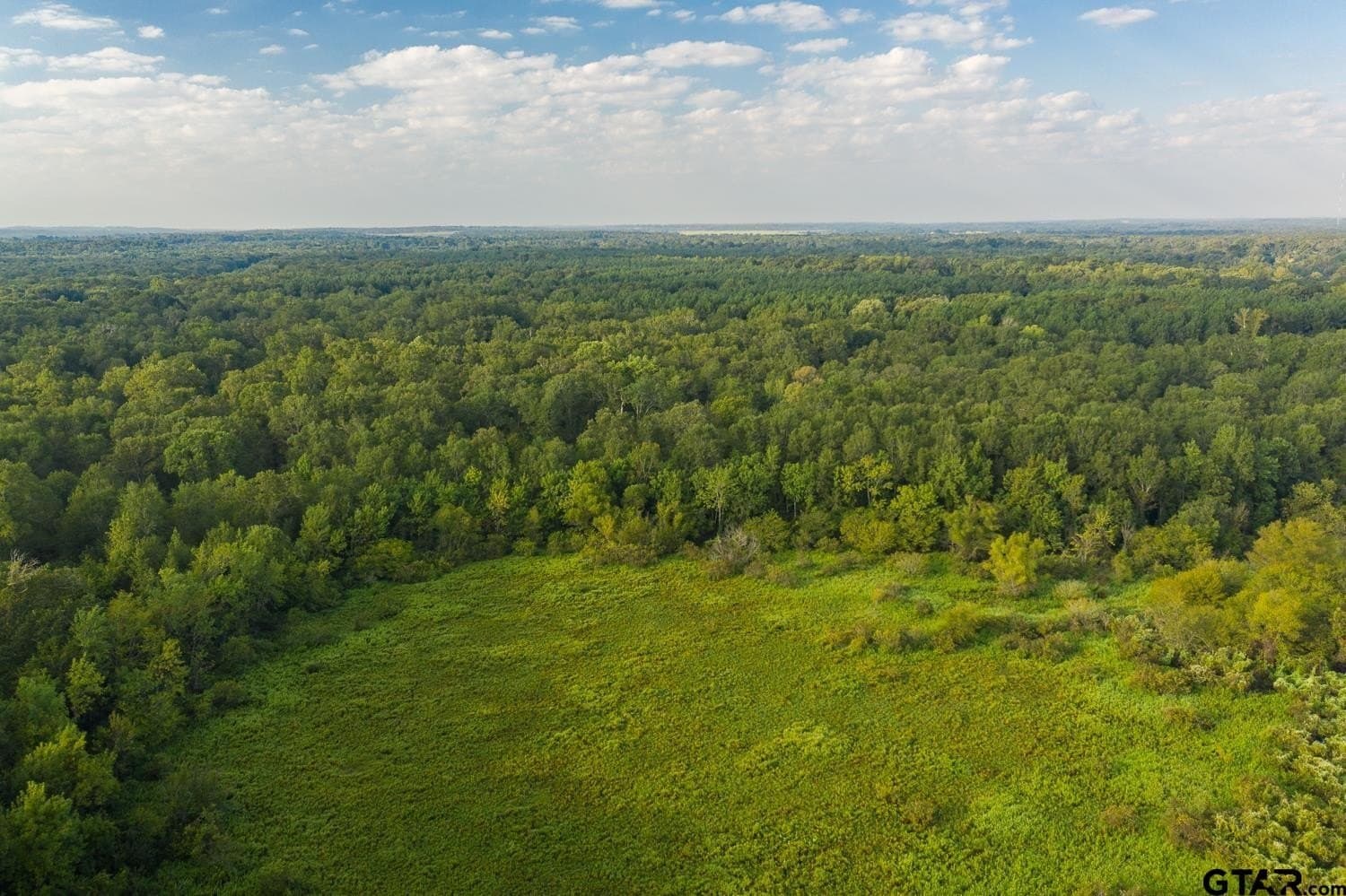 863 acres in Upshur County gallery image 2