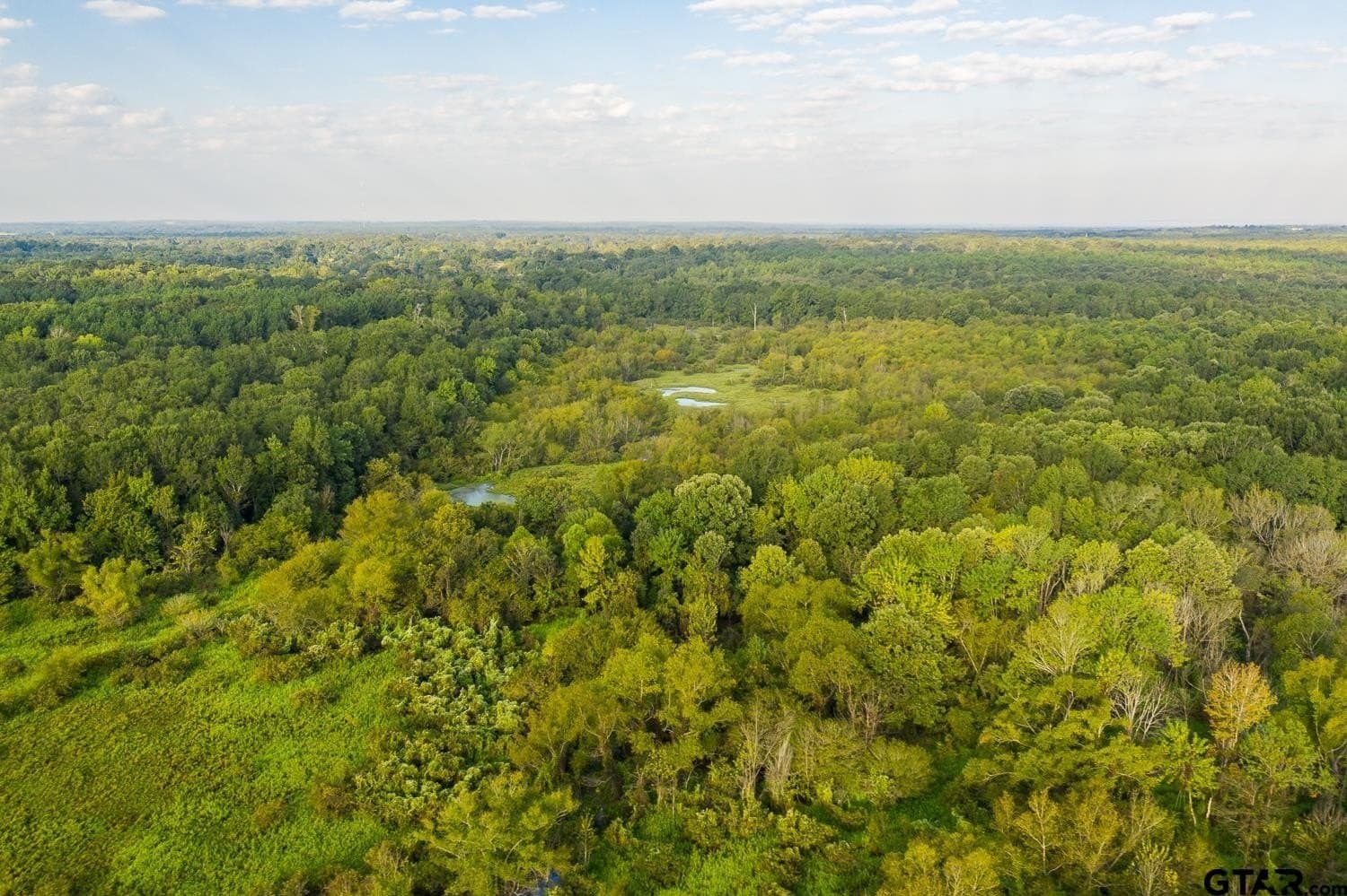 863 acres in Upshur County gallery image 3