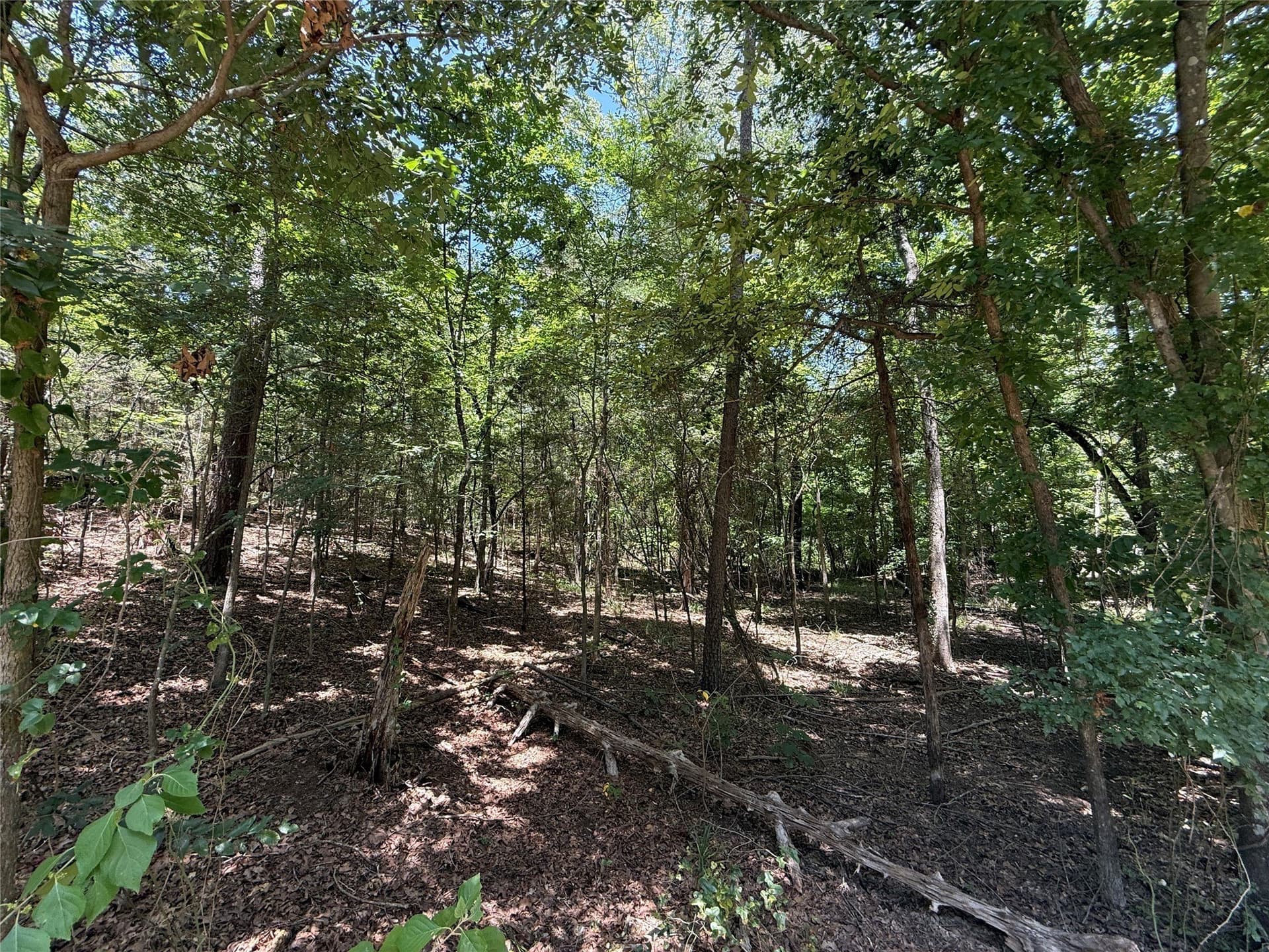 0.34 acres in Franklin (TX) County gallery image 3
