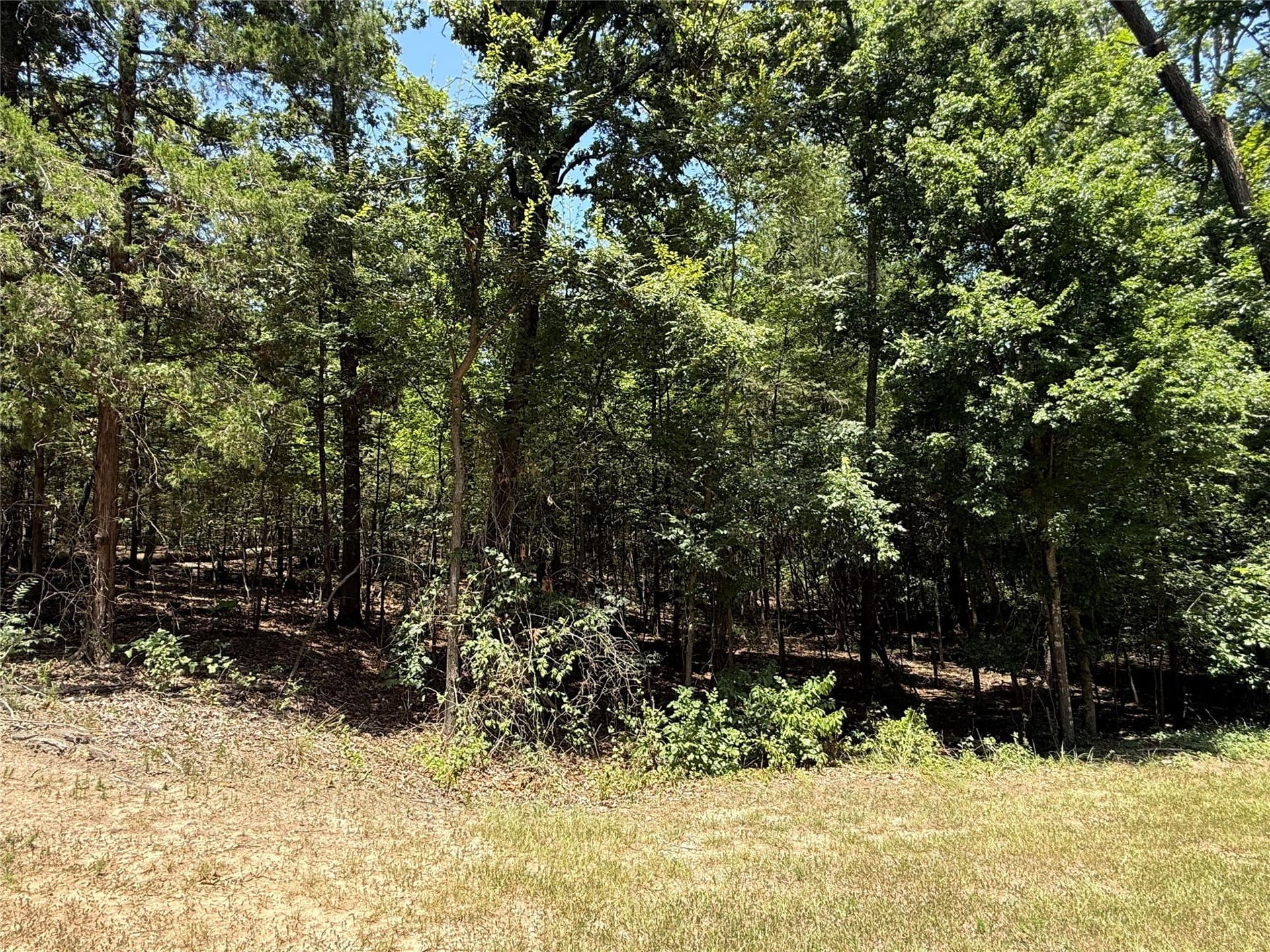 0.34 acres in Franklin (TX) County gallery image 2