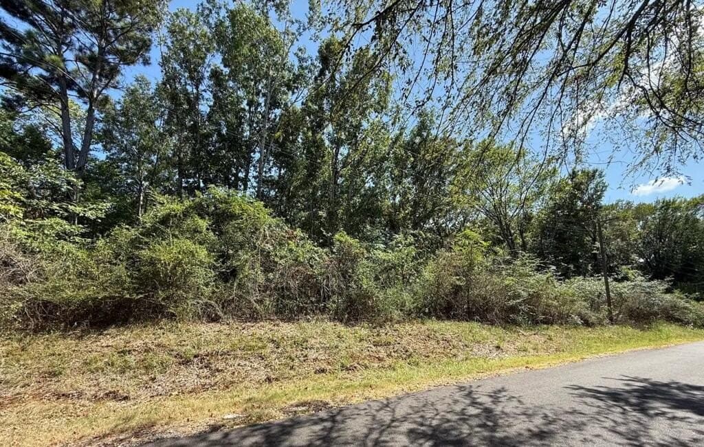 0.5 acres in ANDERSON County - photo 3