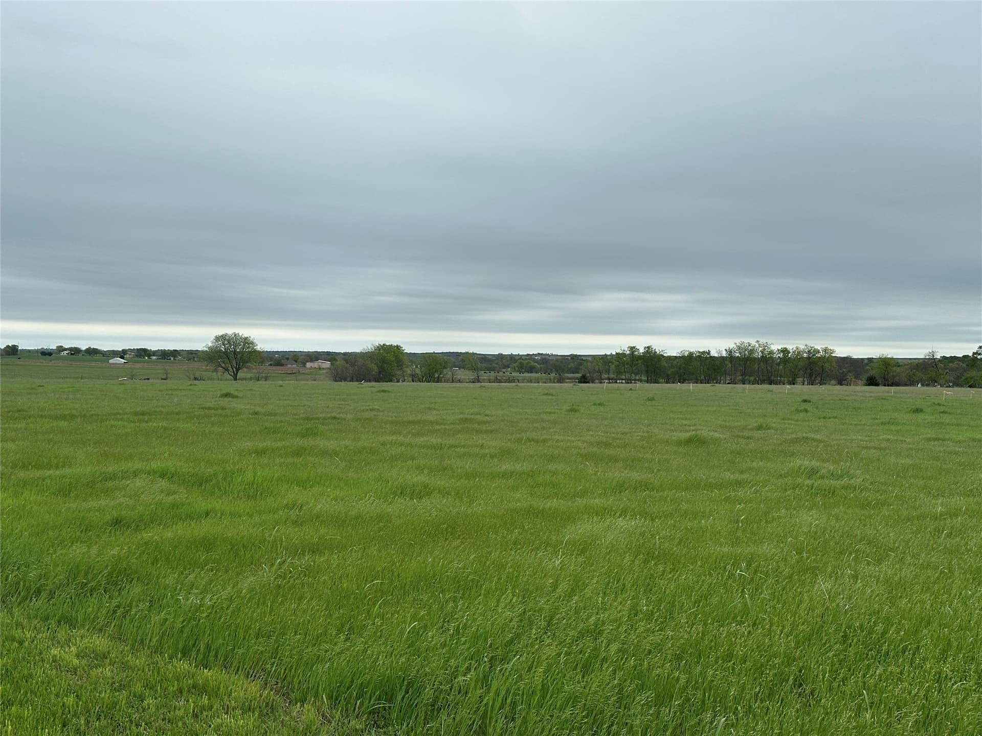 2 acres in Cooke County - photo 9