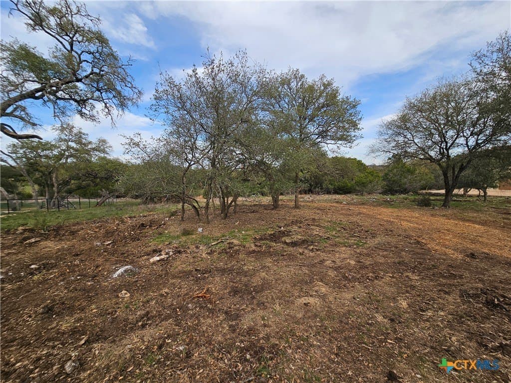 1.1 acres in Comal County gallery image 3