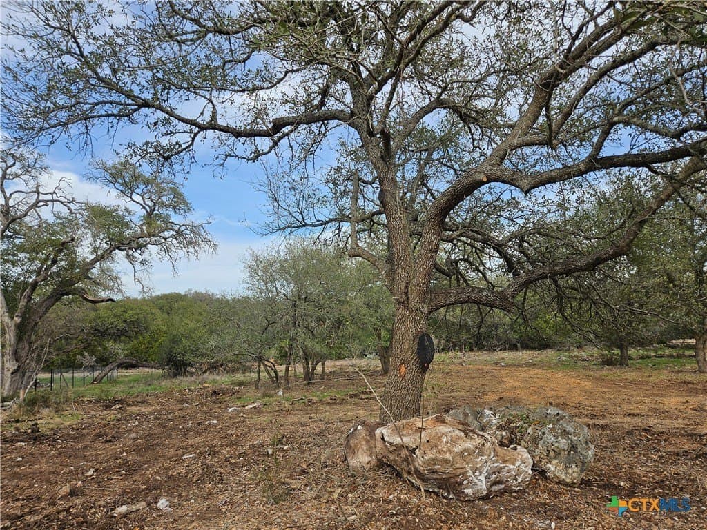 1.1 acres in Comal County gallery image 2