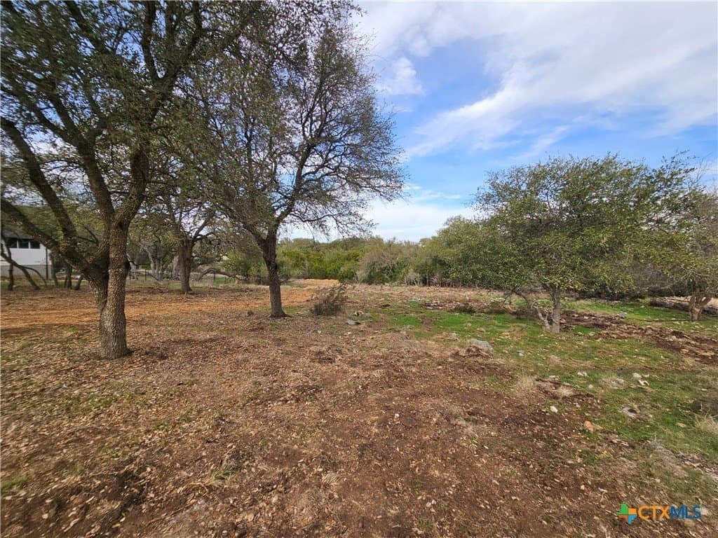 1.1 acres in Comal County gallery image 4