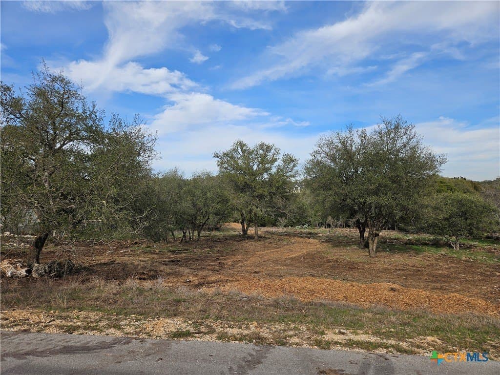 1.1 acres in Comal County - photo 6