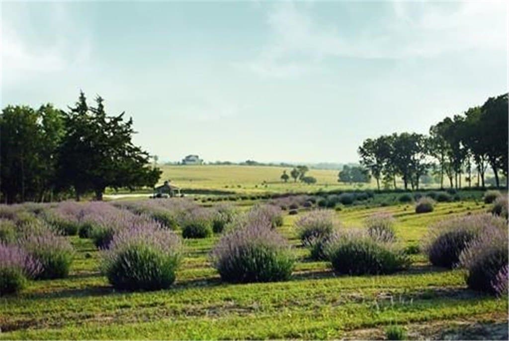 21 acres in WASHINGTON County - photo 5