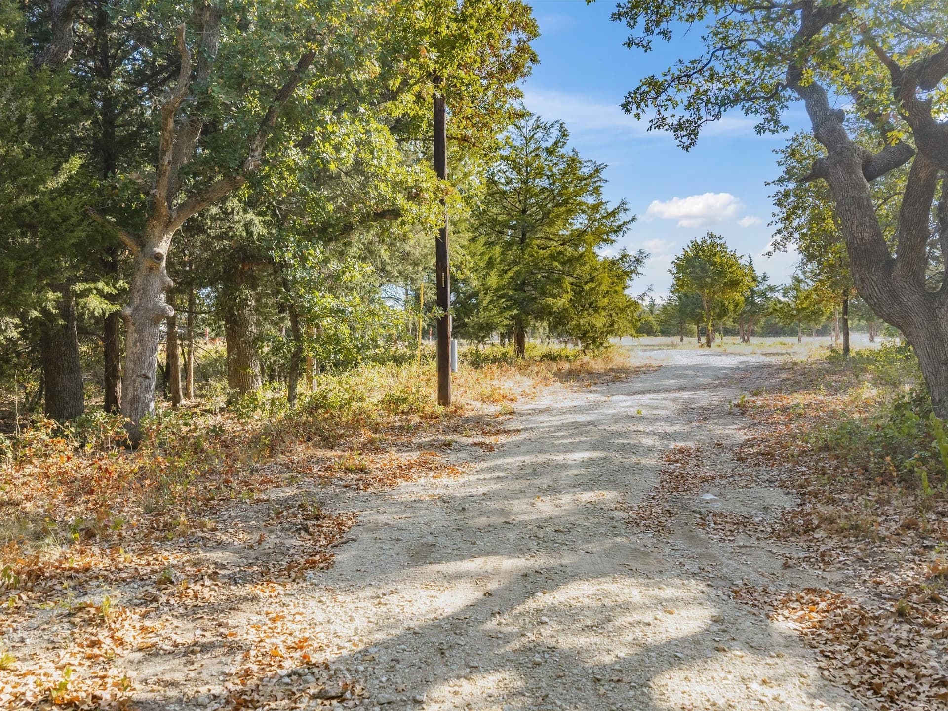 25.49 acres in Montague County - photo 3