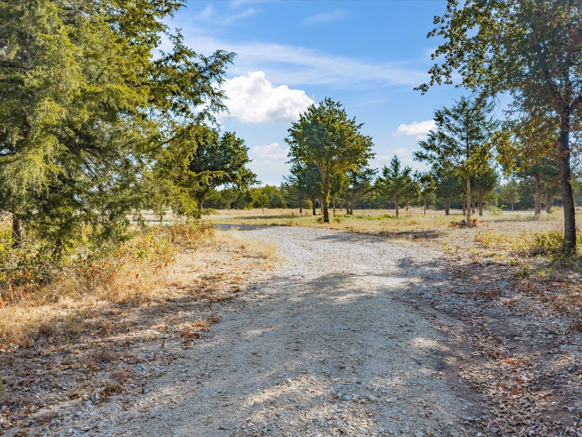 25.49 acres in Montague County - photo 2