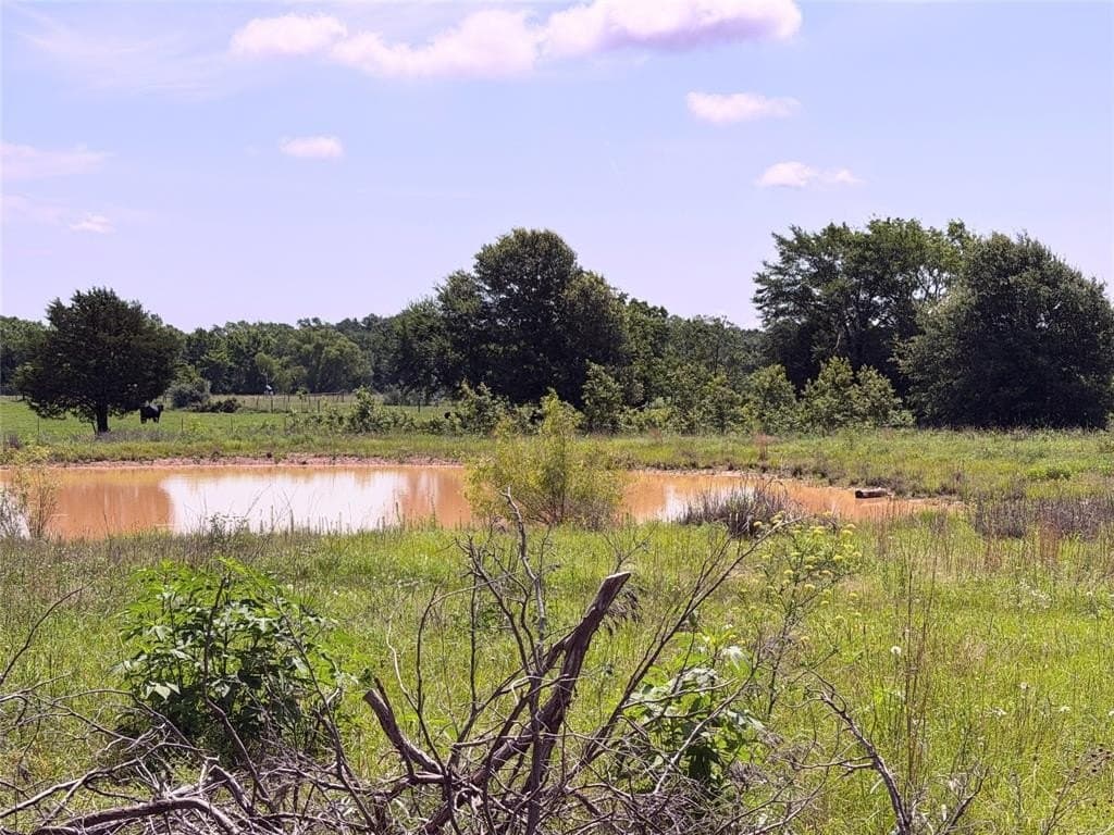 3 acres in Limestone County gallery image 4