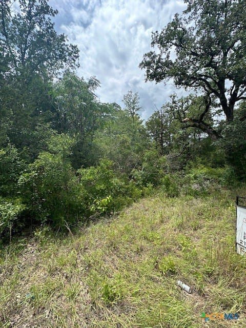 0.81 acres in Bastrop County gallery image 2