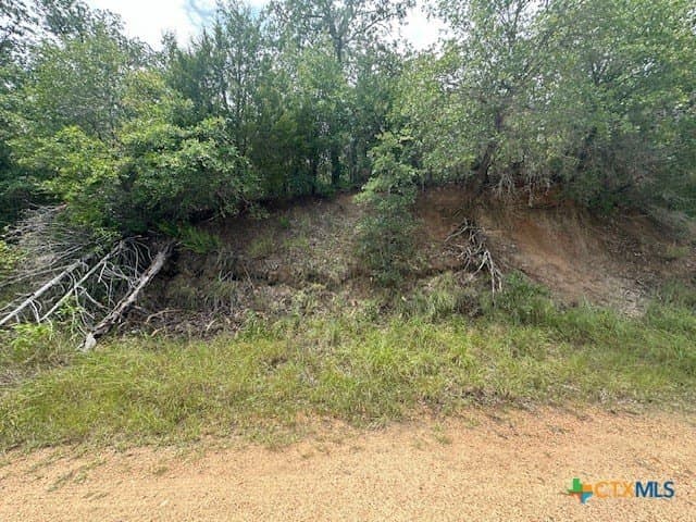0.81 acres in Bastrop County featured view